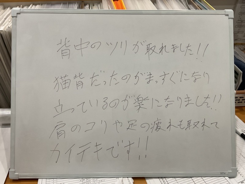 五所川原　まこと整骨院